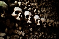 A stack of bones and skulls