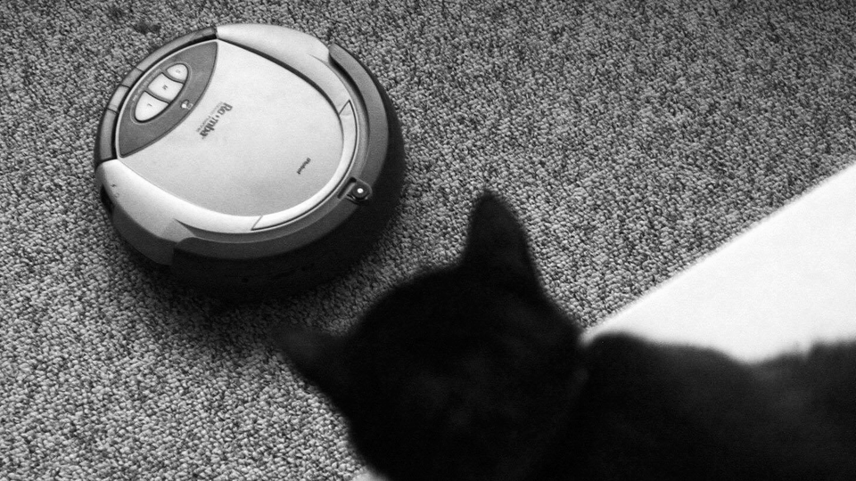 A photo of a cat watching a Roomba on a carpet