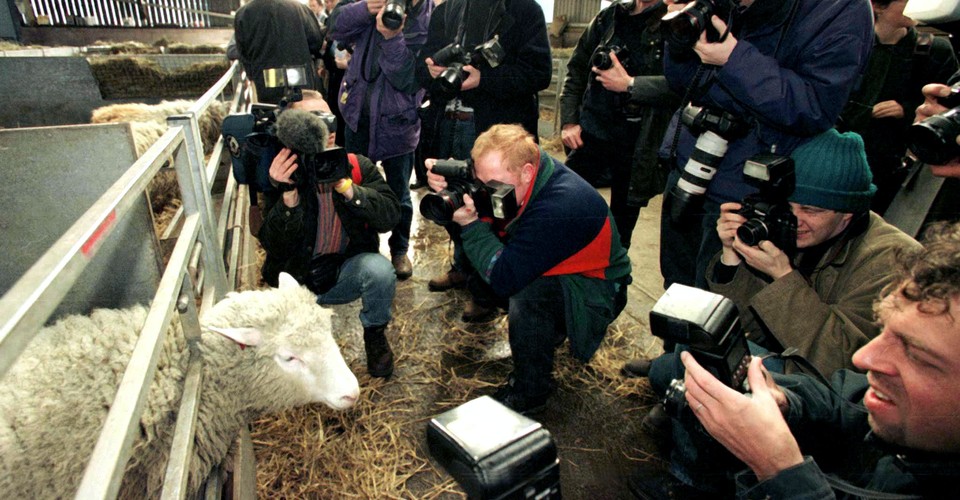 Fake News About Dolly the Cloned Sheep - The Atlantic