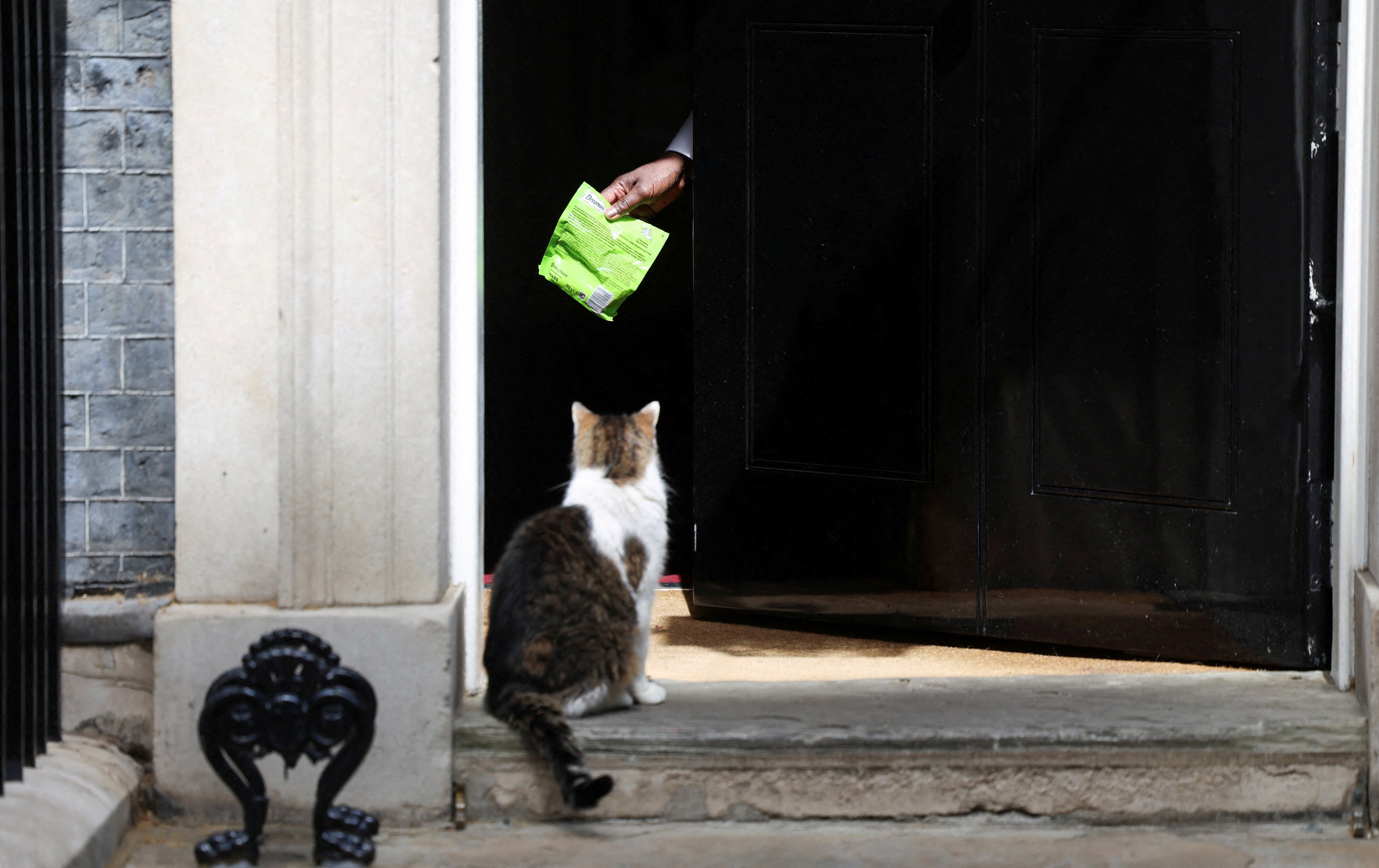 A cat sits in a doorway, enticed by a hand holding up a bag of treats just inside the door.