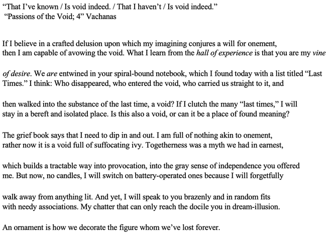The text of a poem by Prageeta Sharma, titled "Passions of the Void."
