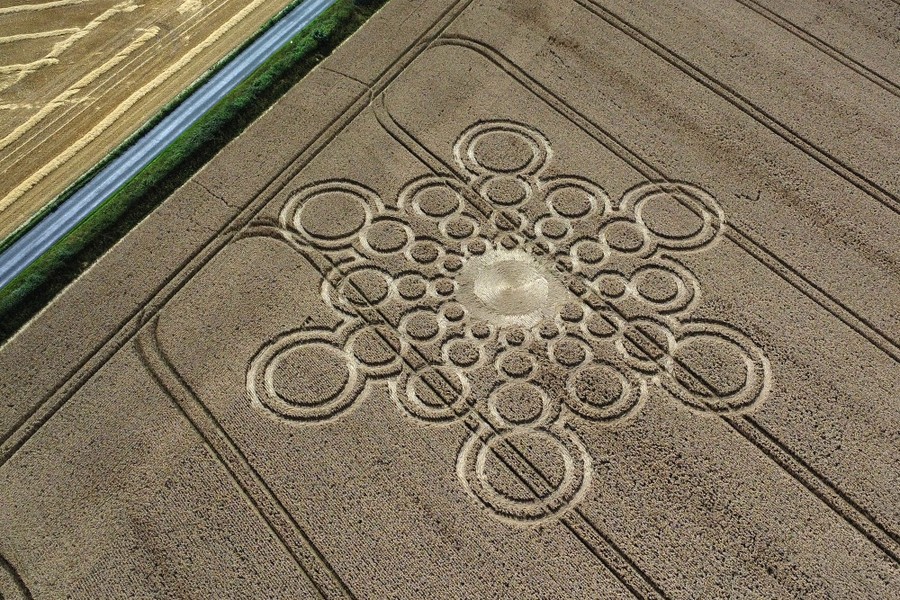 An aerial view of a crop circle in a field of wheat, a pattern of circles made of flattened wheat stalks.