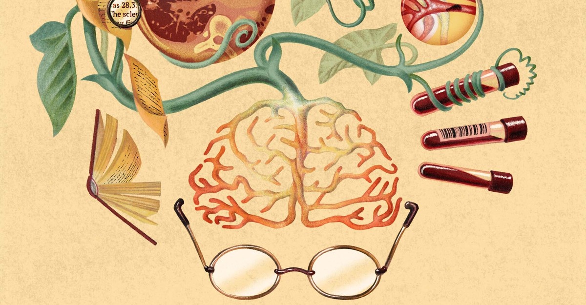 cdn.theatlantic.com image