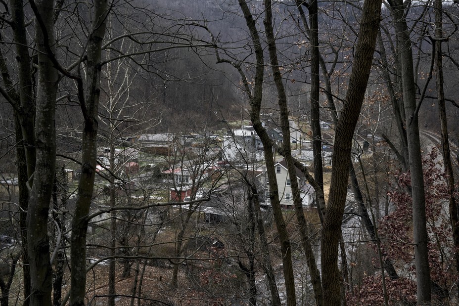 A group of houses seen through winter trees