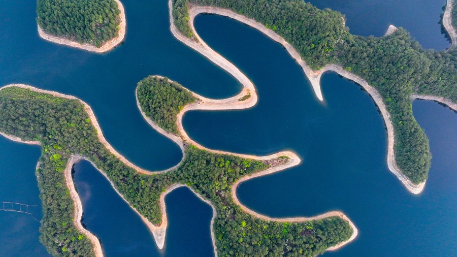 An aerial view of forested islands with sinuous, rocky shorelines