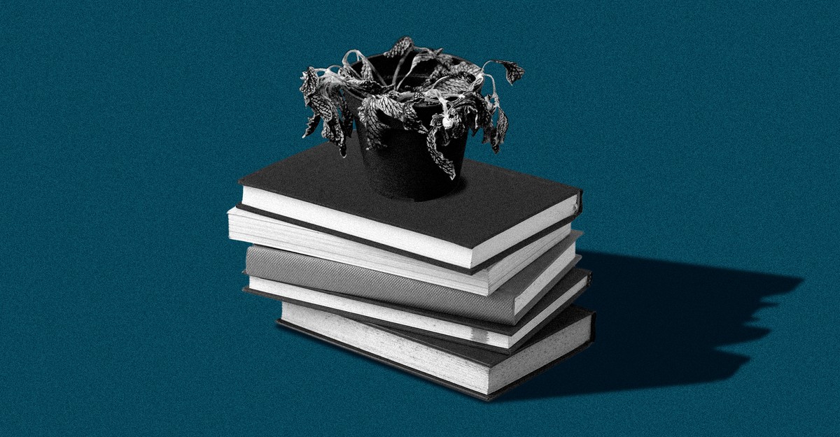 The Most Misleading Advice for College Freshmen from Parents