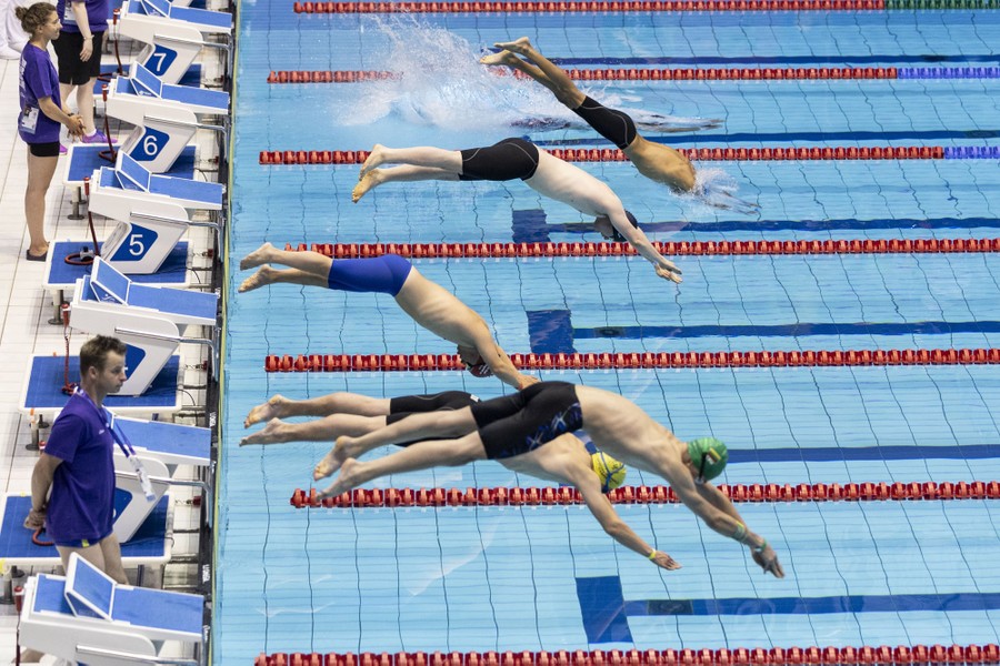 Swimmers dive at the start of a race.