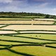 A patchwork of fields on Bodmin Moor in Cornwall