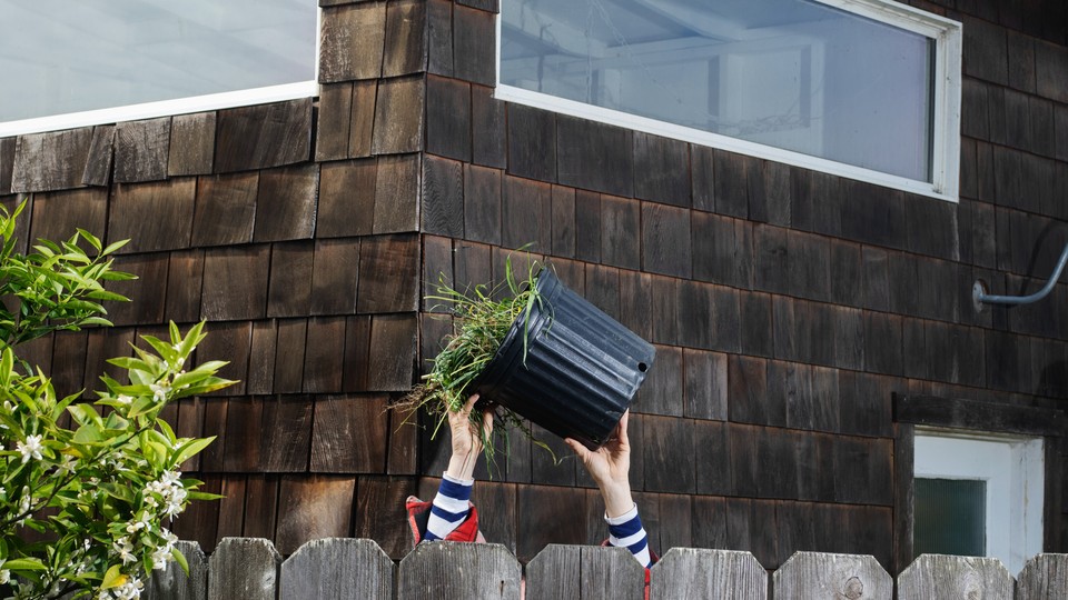 Hands throwing potting over a fence