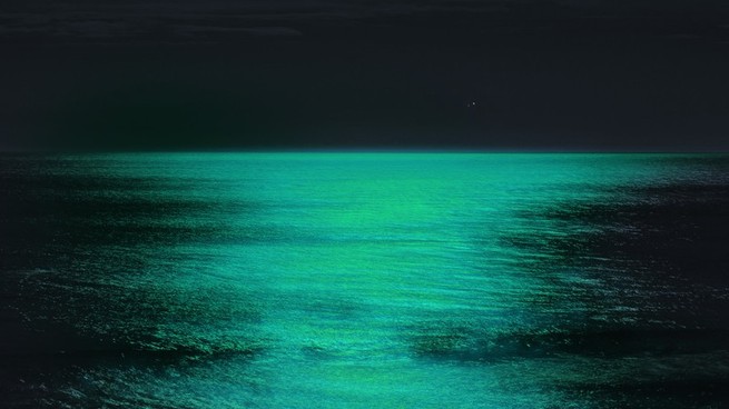 The sea glowing at night