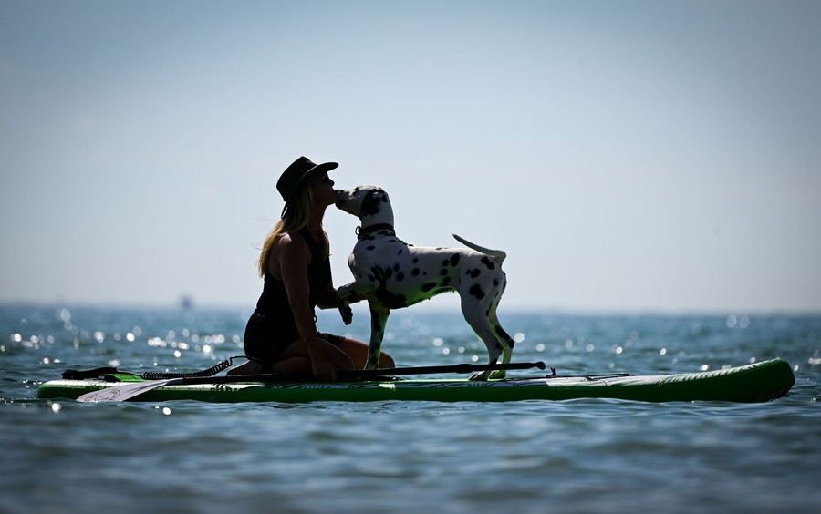 A woman kneels on a floating surfboard with her dog, who leans in to lick her face.