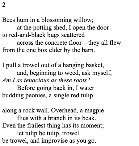 Section 2 of a poem by Arthur Sze