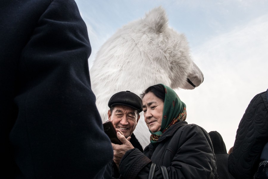 Two people look at a smartphone together, with a large stuffed polar bear standing right behind them.