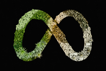 The Meta logo made out of plants losing their color