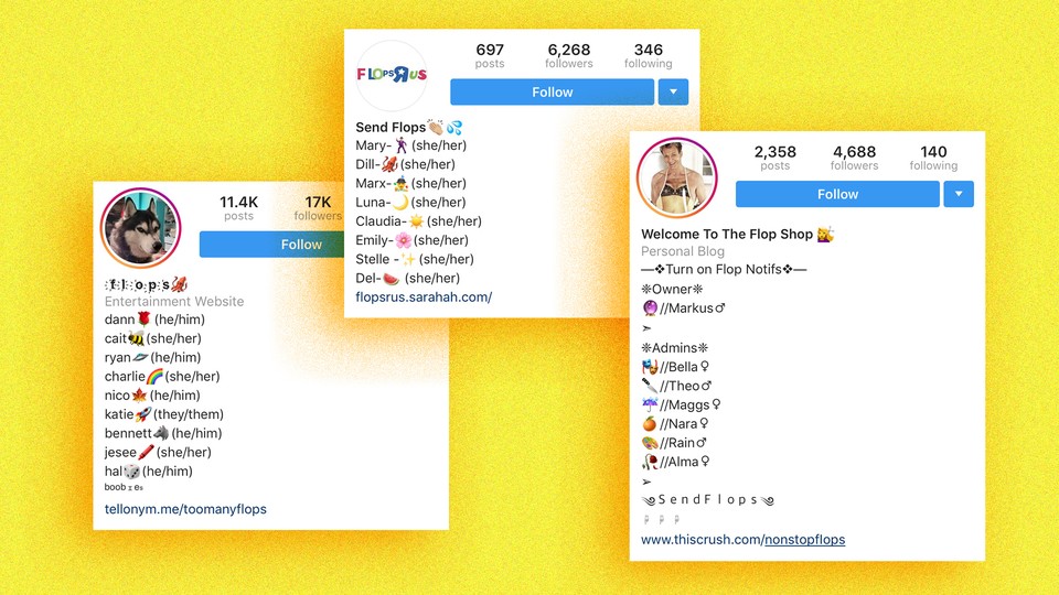 Screenshots of Instagram "flop" accounts