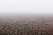 An image of soil stretching into the horizon