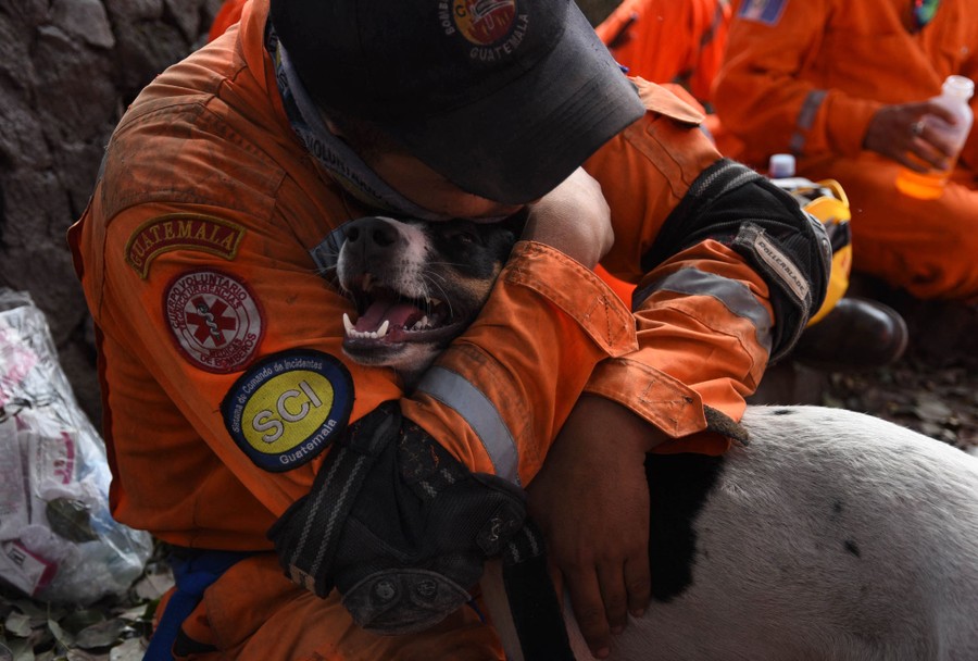 A volunteer firefighter hugs a dog during a search effort.