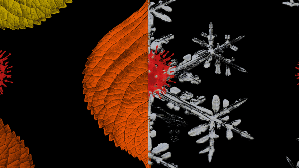 An illustration of an autumn leaf and a snowflake with coronavirus cells