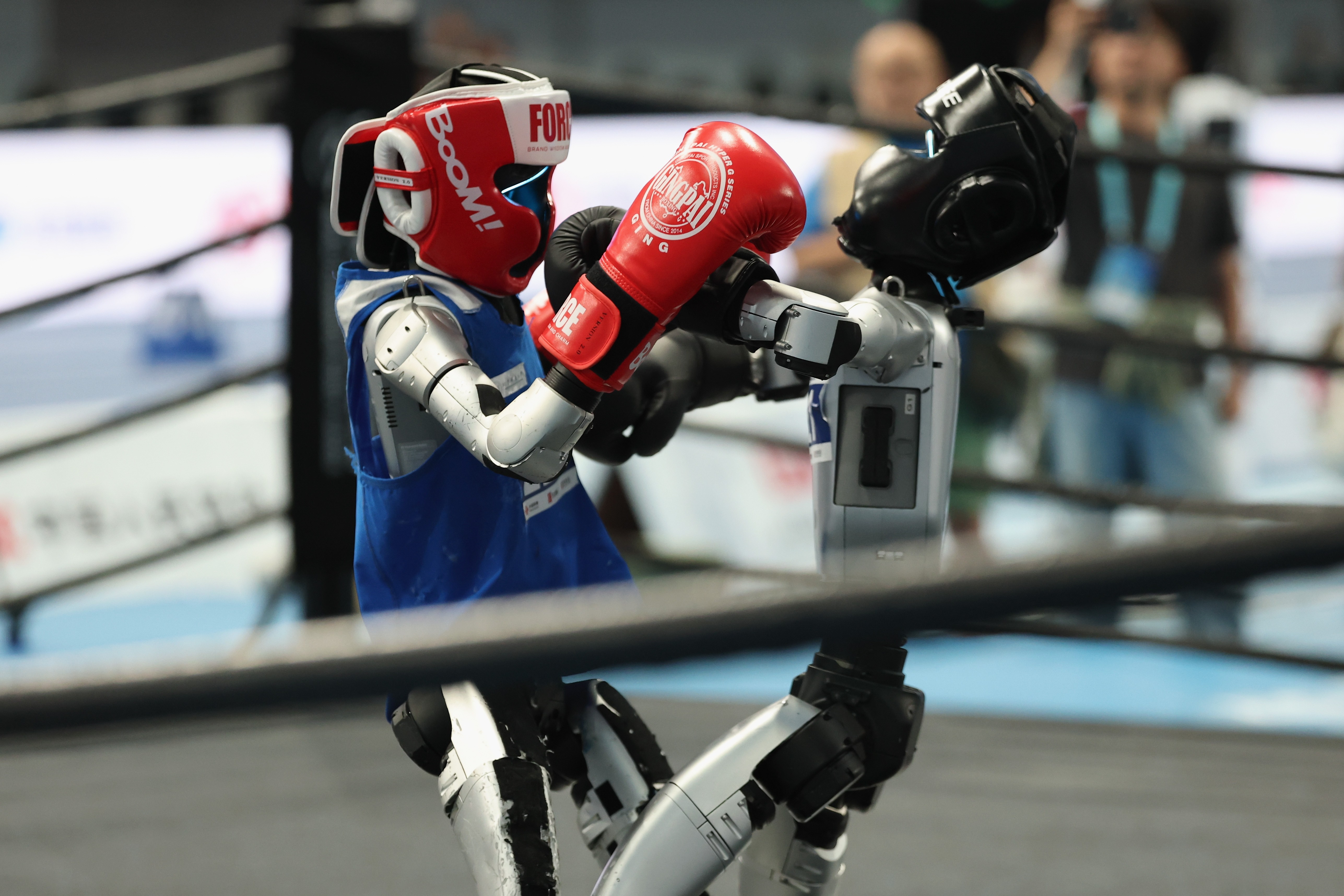 Two robot boxers fight.