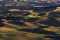 The rolling hills of the Palouse, viewed from Steptoe Butte State Park in Washington State