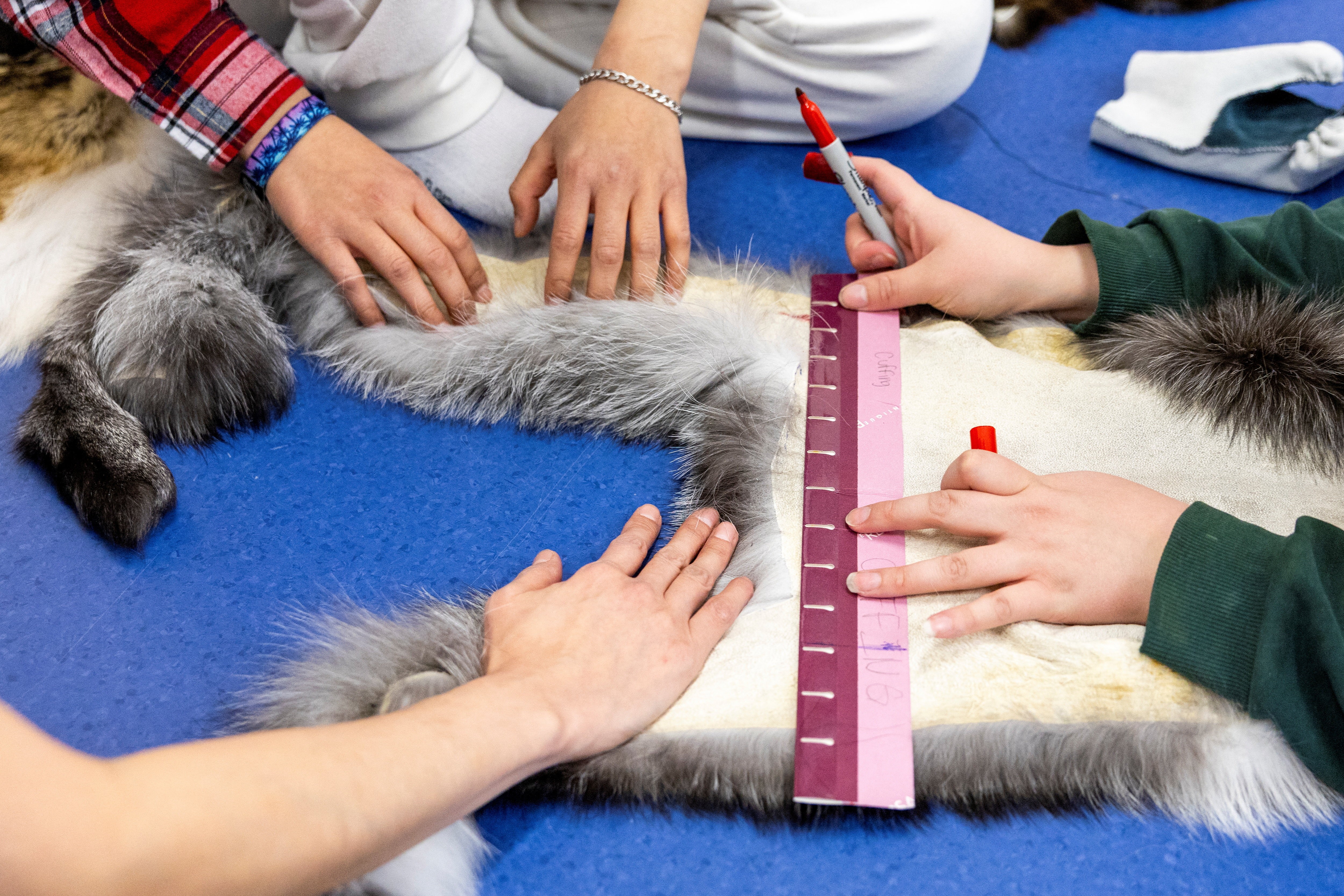 People hold down and measure fox fur, while making mittens.