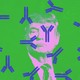 An illustration of antibodies with Donald Trump in the background