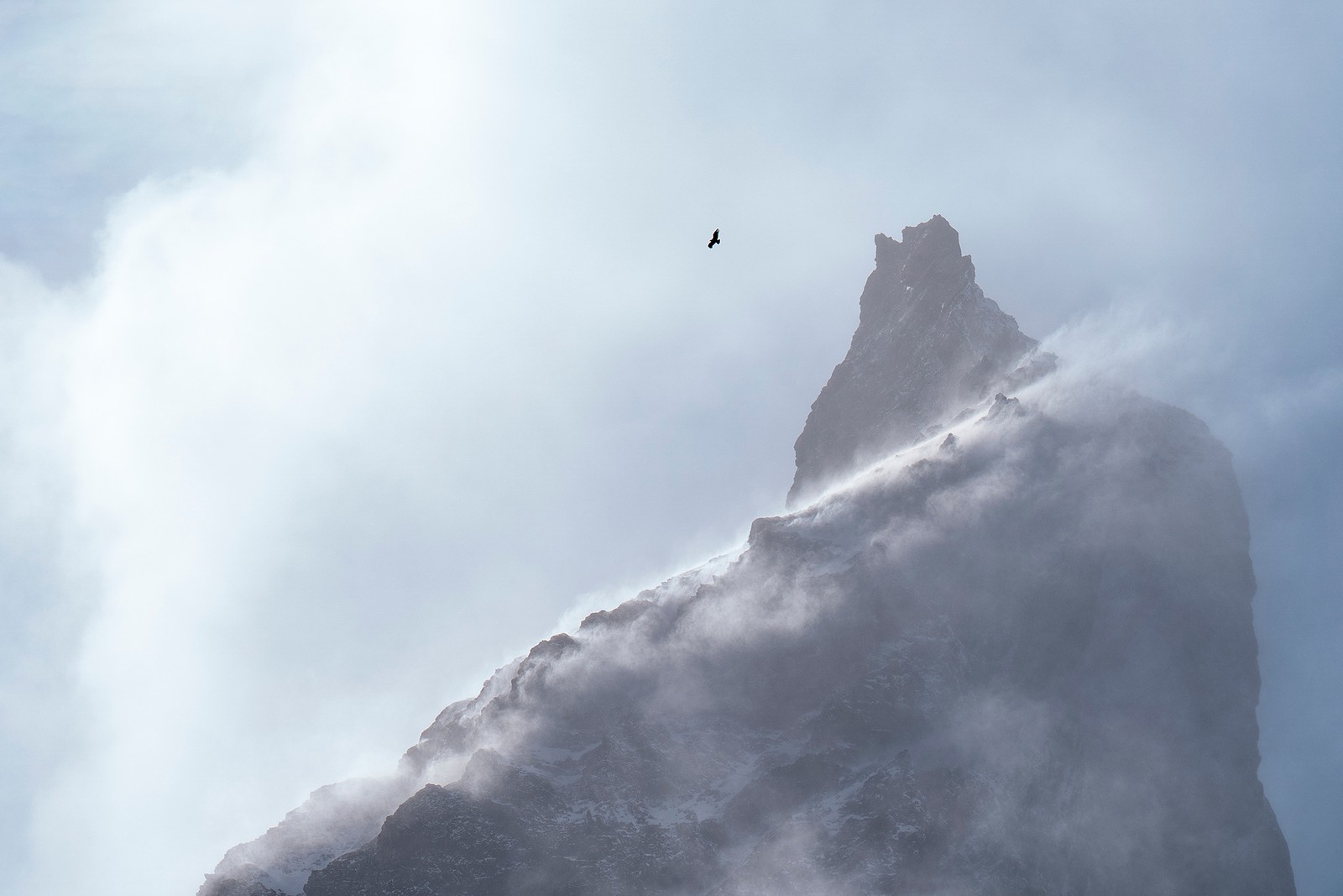A bird flies high above, seen near a windswept rocky mountain outcrop.