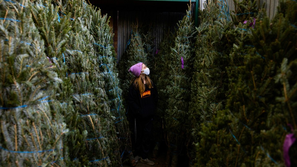 A girl wearing a mask stands between two rows of Christmas trees.