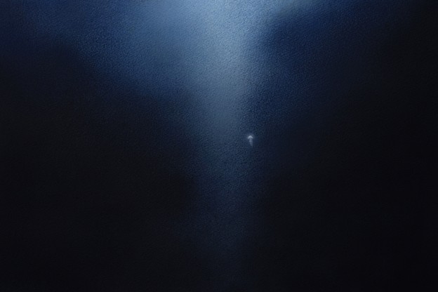 illustration of the ocean