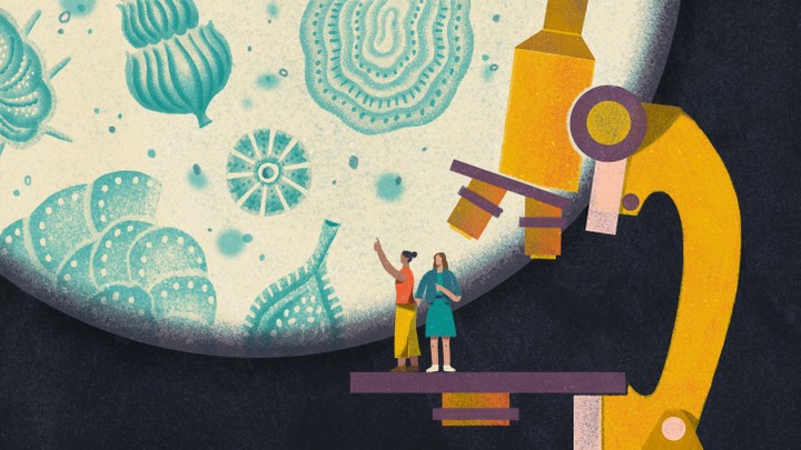 An illustration of two friends on top of a microscope looking at plankton.