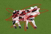 cow crossed out with red lines in front of green background