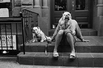 man sitting on steps of building with two dogs