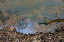 Image of Sewage Spill Into Potomac River Could Be Largest In US History