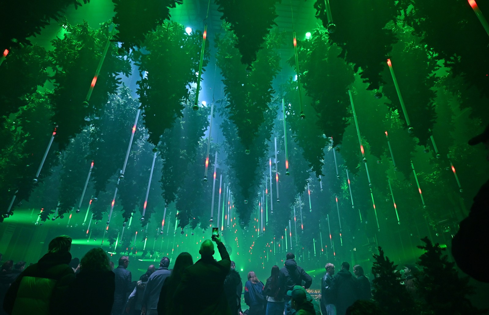People take photographs of hundreds of Christmas trees that have been suspended upside-down above an ice rink and illuminated.
