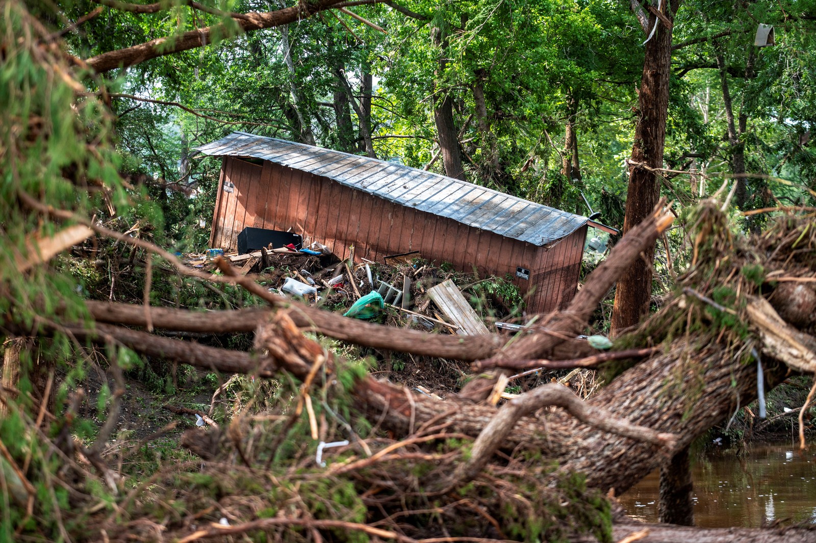 A shed, sitting at an unusual angle, rests among piles of broken trees and flood debris.
