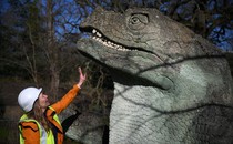 A person wearing a hard hat reaches up toward a sculpture of a dinosaur.