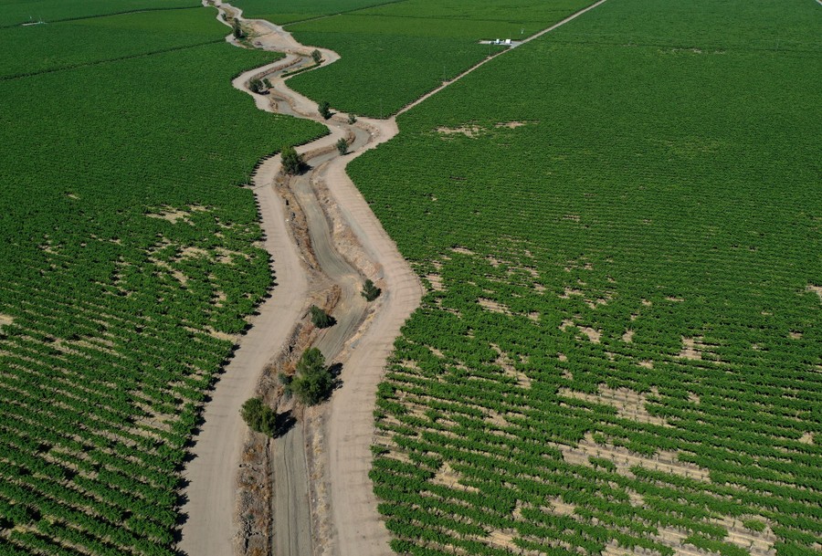 A dry ditch that once carried irrigation water runs through farm fields.