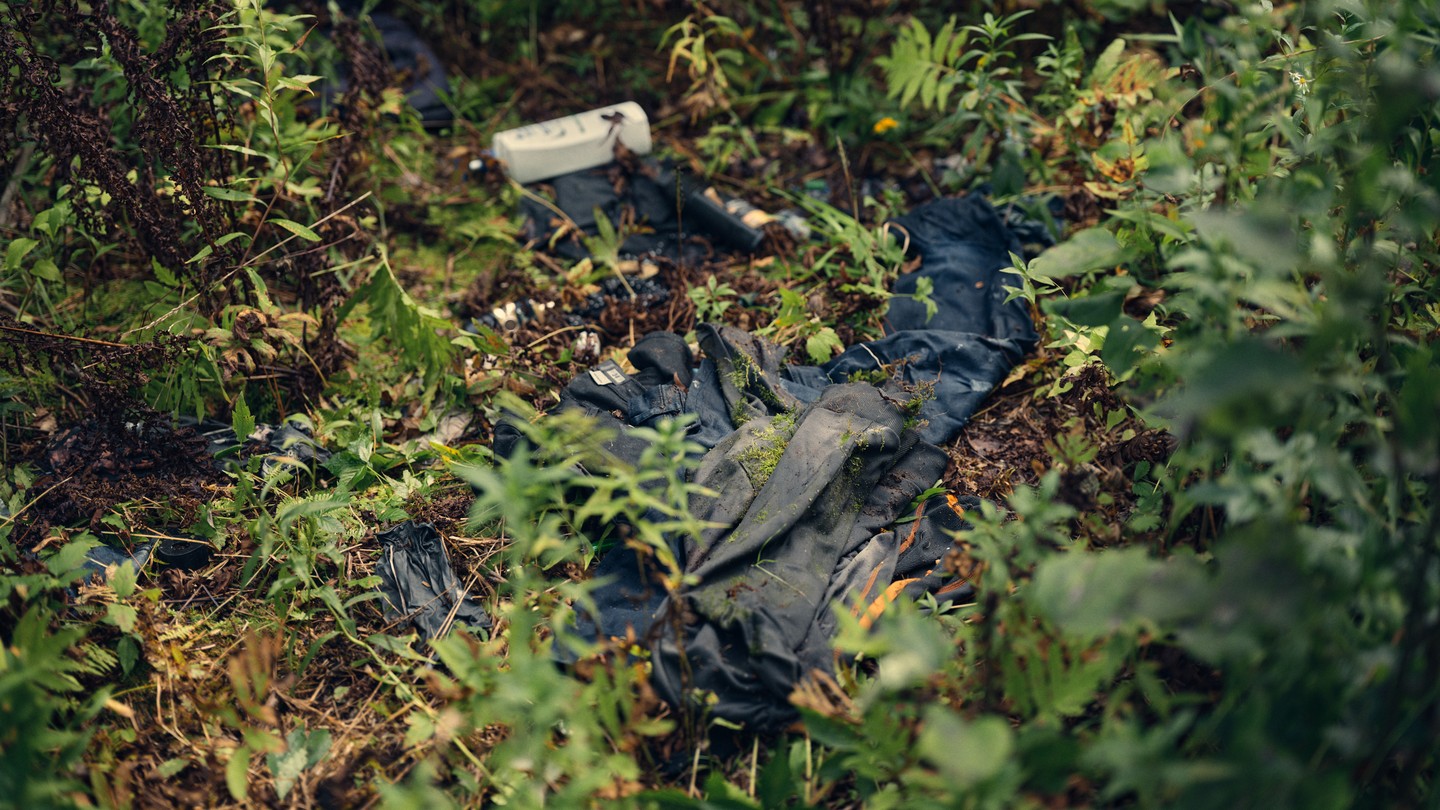 Clothes lay in the woods