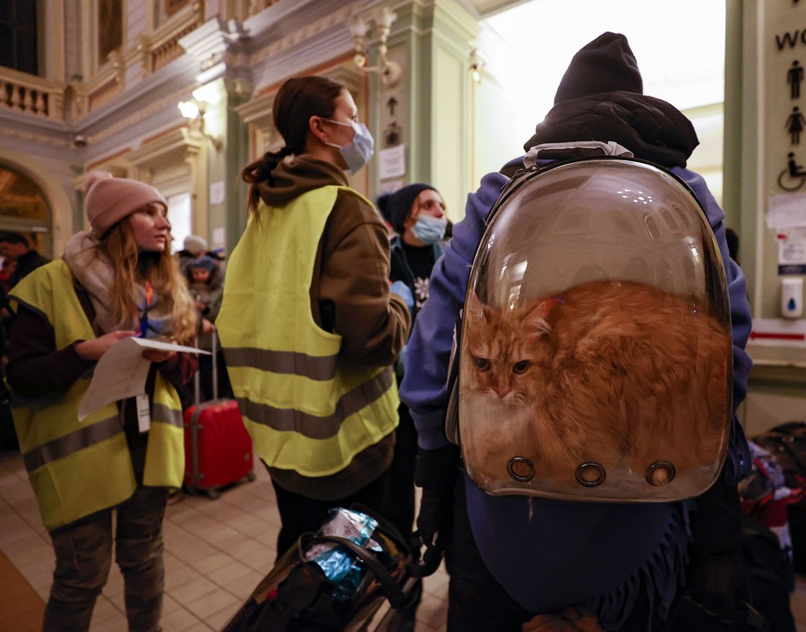 A person carries a cat in a transparent backpack in a train station. The longhair cat is slightly too big, and appears smashed inside the bag.