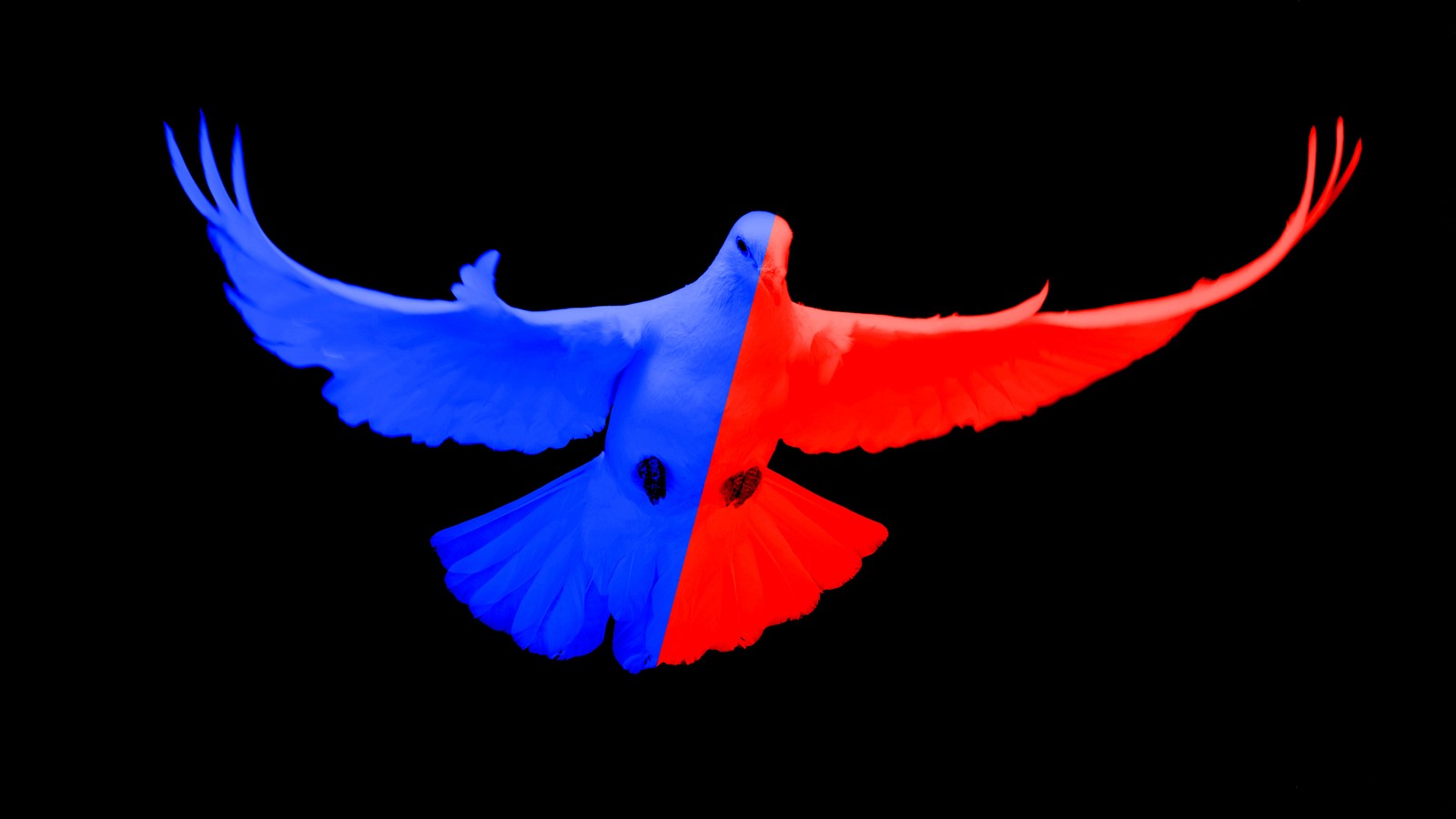 Why Democrats and Republicans Don't Want War with Russia ...