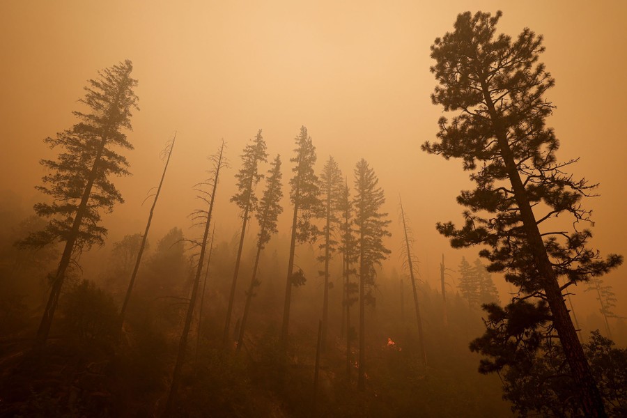 A smoky sky is seen above a recently burned hillside.