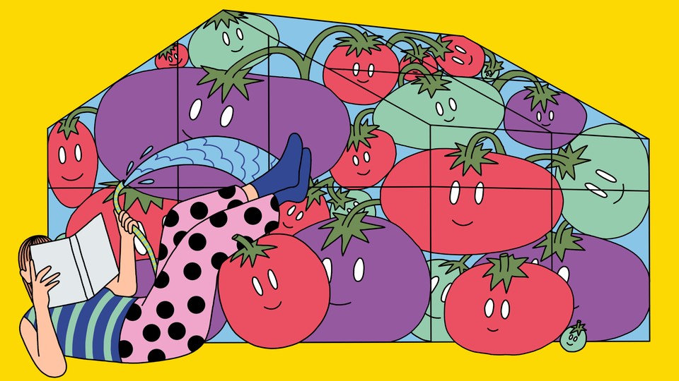 A human figure reclining to read a book while watering a greenhouse full of flourishing tomato plants