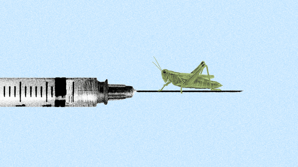 a grasshopper waits on a vaccine syringe