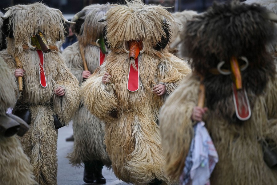 Performers in huge, woolly costumes walk in a street.