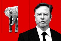 A photo-illustration showing black-and-white cut-out photos of Elon Musk and an elephant on a bright-red background.