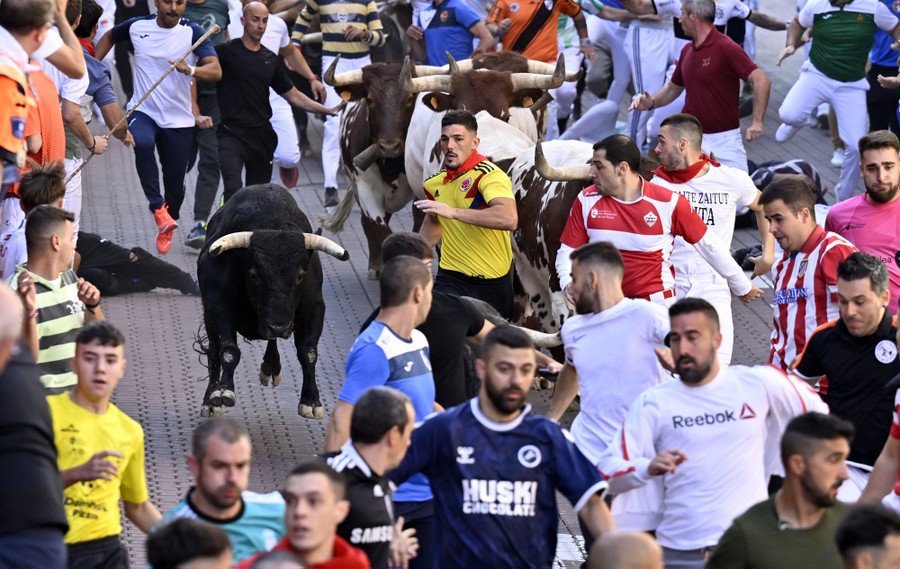 A crowd of people run in front of, and alongside, several running bulls.