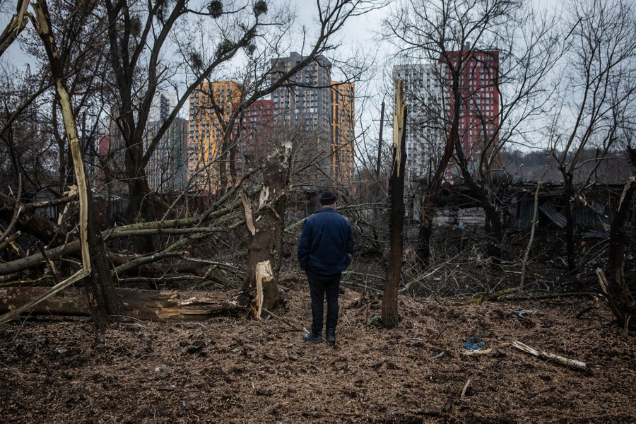 A man stands among damaged trees after a missile strike.