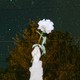 A blurry fist holds up a rose against the night sky.