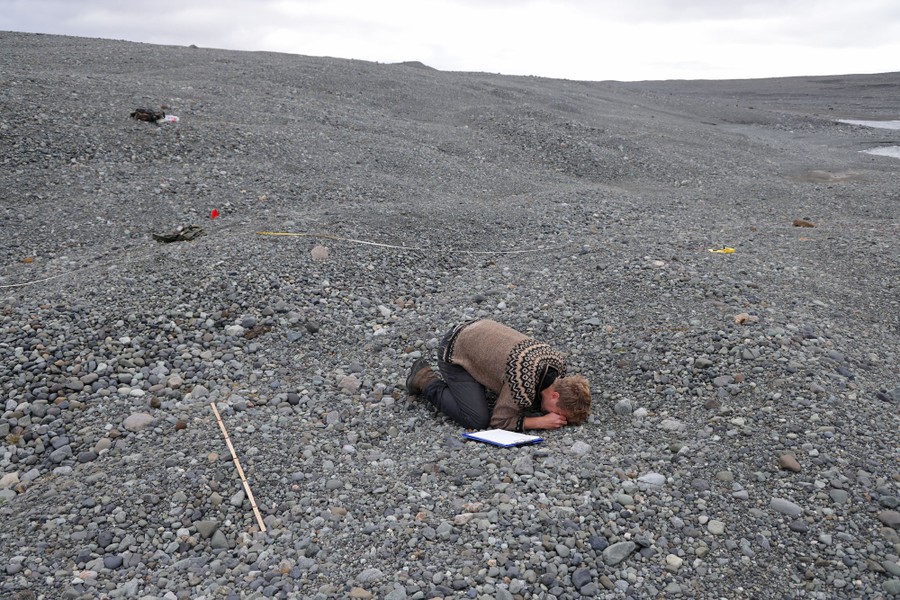 A person kneels down and examines rocks up close.