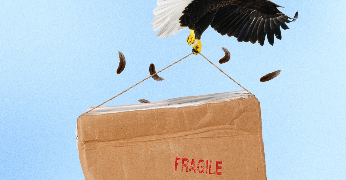 Your Packages Won’t Save the Postal Service